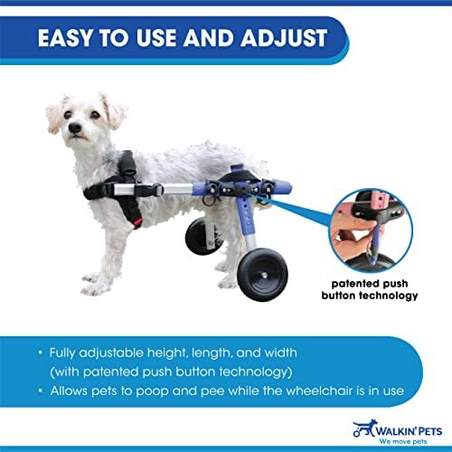 Walkin' Wheels Dachshund Wheelchair - for Small Dogs 2-30+ Pounds - Veterinarian Approved - Dog Wheelchair for Back Legs