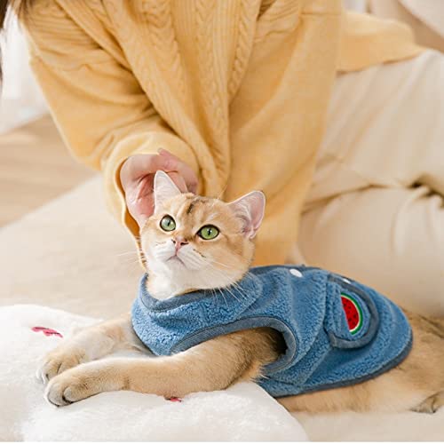 Dog Vest Winter Dog Cat Clothes Medium Small Dog Warm Soft Pet Jacket Velvet Scarf (Blue XS code)