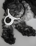 Assisi LOOP 2.0 Manual tPEMF Device for Dogs, Cats, and Horses