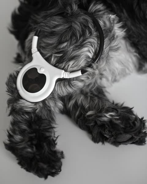 Assisi LOOP 2.0 Manual tPEMF Device for Dogs, Cats, and Horses