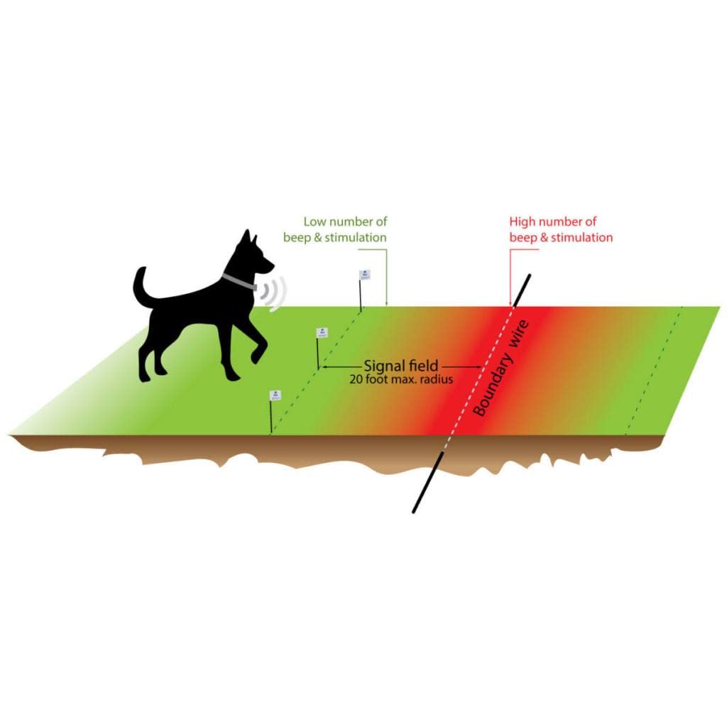Underground Electric Dog Fence Kit, Standard, 4-Dog, 2000 ft, DIY Install