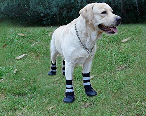Pet Shoes Dog Shoes Waterproof Sport Dog Boots with Reflective Rugged Anti-Slip Sole Perfect for Long Legged Medium Large Dogs (Small)