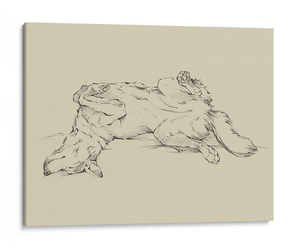 Canvas Lab | Dog Tired IV by Ethan Harper | 40 x 30 in | Canvas Print Wall Art | Animals, Dogs, Nature | Wall Decor for Bedroom, Living Room or Office