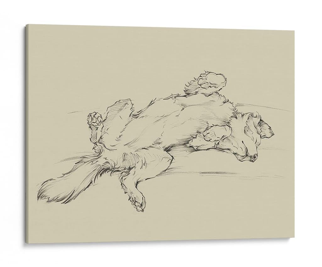 Canvas Lab | Dog Tired III by Ethan Harper | 40 x 30 in | Canvas Print Wall Art | Animals, Dogs, Nature | Wall Decor for Bedroom, Living Room or Office