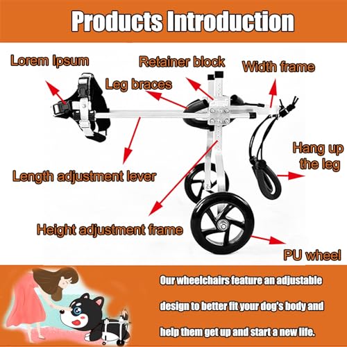 Adjustable Dog Wheelchair for Small to Lar Dogs – Hind Leg Support li Aid, Hip & Amputat Brace for Enhanced Walking & t