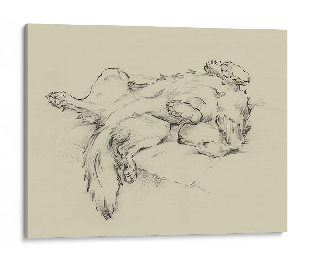 Canvas Lab | Dog Tired II by Ethan Harper | 40 x 30 in | Canvas Print Wall Art | Animals, Dogs, Nature | Wall Decor for Bedroom, Living Room or Office