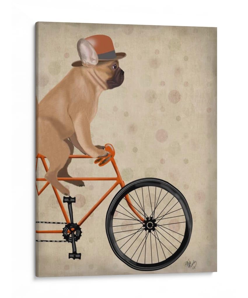Canvas Lab | French Bulldog on Bicycle by Fab Funky | 30 x 40 in | Canvas Print Wall Art | Animals, Dogs, Nature, Whimsical | Wall Decor for Bedroom, Living Room or Office