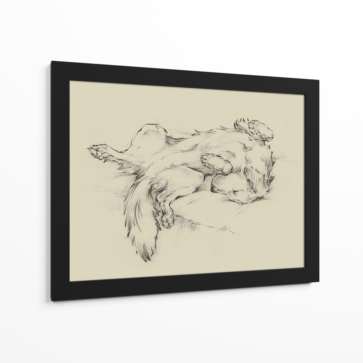 Canvas Lab | Dog Tired II by Ethan Harper | 40 x 30 in | Canvas Print Wall Art | Animals, Dogs, Nature | Wall Decor for Bedroom, Living Room or Office