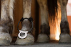 Assisi LOOP 2.0 Manual tPEMF Device for Dogs, Cats, and Horses