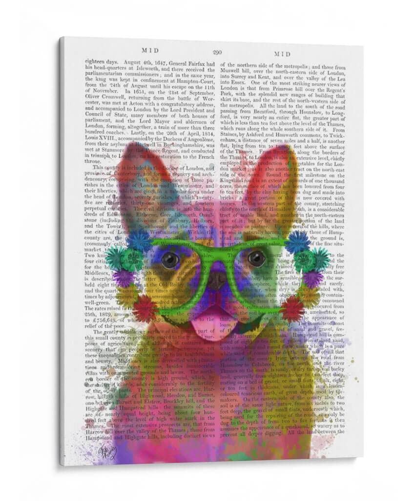Canvas Lab | Rainbow Splash French Bulldog, Portrait by Fab Funky | 30 x 40 in | Canvas Print Wall Art | Animals, Dogs, Nature, Whimsical | Wall Decor for Bedroom, Living Room or Office