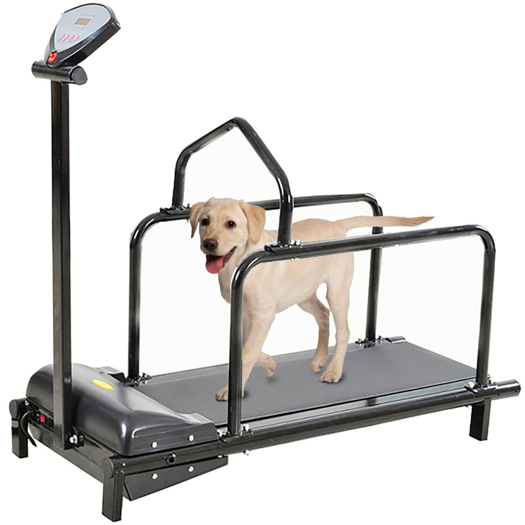 Dog Treall for Lar and Mum Dogs, Indoor and Outdoor Exercise Equint, Slatmill for Training Dogs Up to 176lb, Promotes Healthy Activi and Weight Manaent