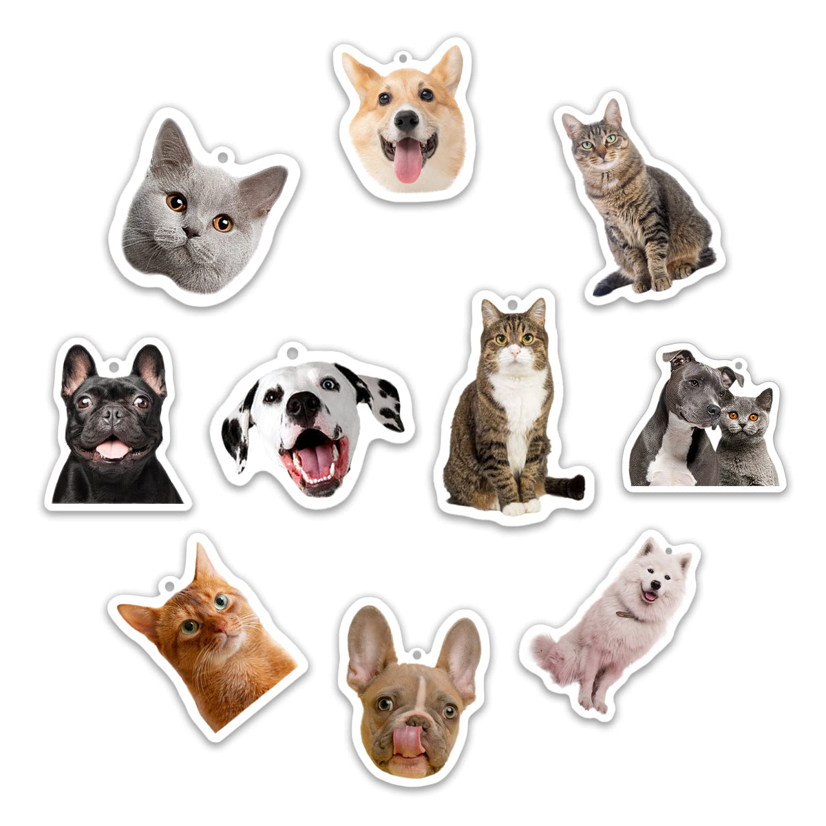 300PCS Personalized Pet Portrait Car Air Fresheners Bulk Dog Photo Air Fresheners Cat Car Decor Accessories Pet souvenir gift Scents Air Freshener Custom Bulk Items for Pet Lover (option 6:300pcs)