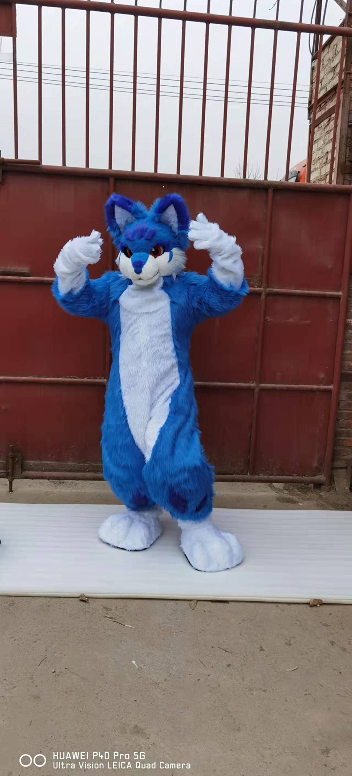 Original Design Blue Cat Huksy Dog Fursuit Costumes Full Furry Suit Furries Anime Digitigrade Costume Bent Legs Angel Dragon