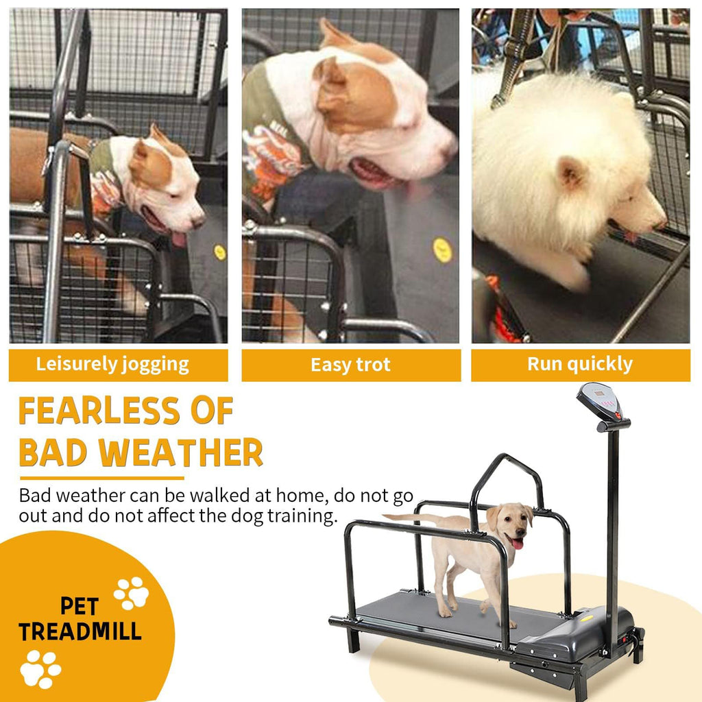 Dog Treall for Lar and Mum Dogs, Indoor and Outdoor Exercise Equint, Slatmill for Training Dogs Up to 176lb, Promotes Healthy Activi and Weight Manaent