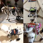 2 to 132 Lbs Animal Exercise Wheelchair for Dog, Large Medium Small Size Pets Cart with Front and Back Wheels, Recover Mobility Rehabilitation Brace (Size : Size XL)