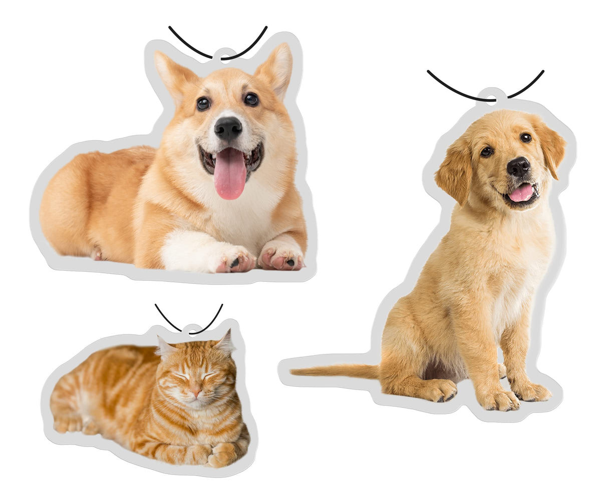 300PCS Personalized Pet Portrait Car Air Fresheners Bulk Dog Photo Air Fresheners Cat Car Decor Accessories Pet souvenir gift Scents Air Freshener Custom Bulk Items for Pet Lover (option 6:300pcs)