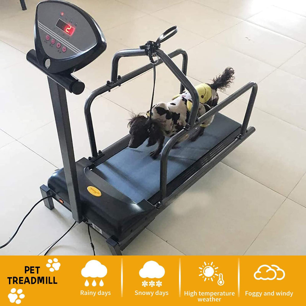 Dog Treall for Lar and Mum Dogs, Indoor and Outdoor Exercise Equint, Slatmill for Training Dogs Up to 176lb, Promotes Healthy Activi and Weight Manaent