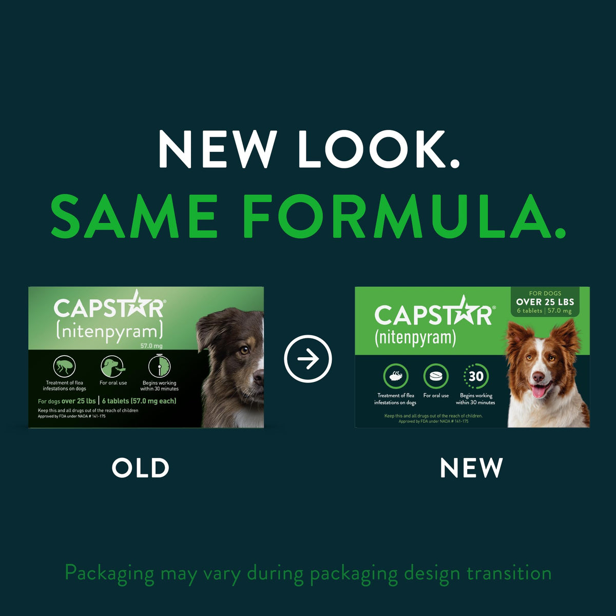 Capstar (nitenpyram) Fast-Acting Oral Flea Treatment for Dogs Over 25 lbs