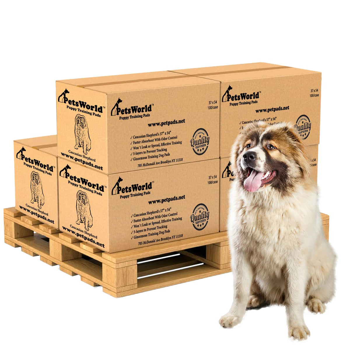PetsWorld Pee Pads for Dogs 37x54 XXXL | Dog Training Pads 400 Count