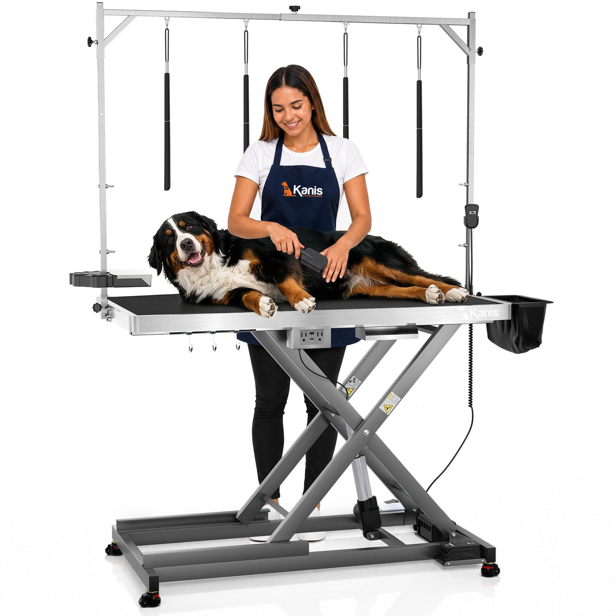 Professional Electric Dog Grooming Table - Heavy Duty
