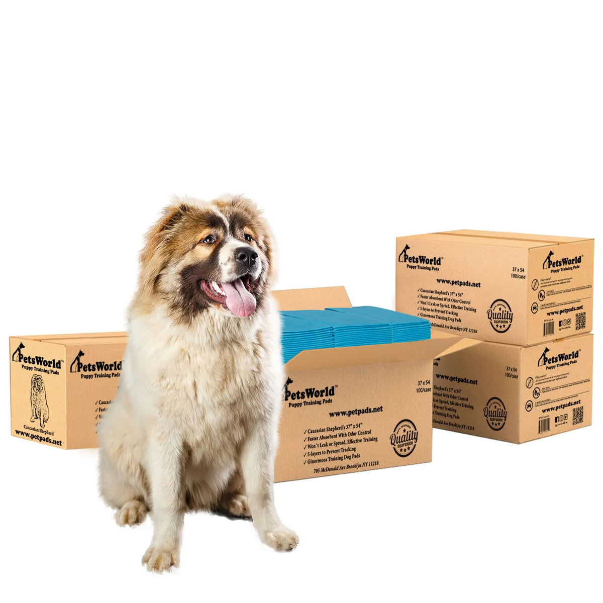 PetsWorld Pee Pads for Dogs 37x54 XXXL | Dog Training Pads 400 Count