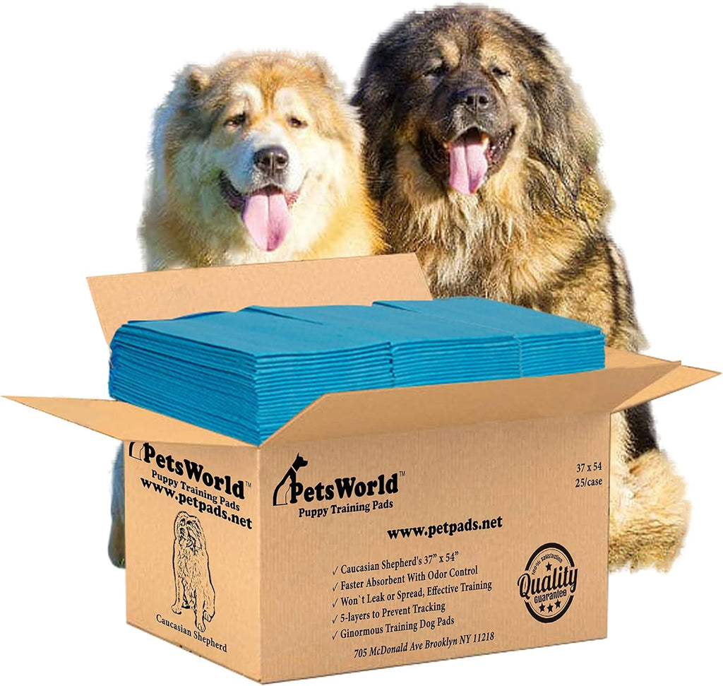 PetsWorld Pee Pads for Dogs 37x54 XXXL | Dog Training Pads 400 Count