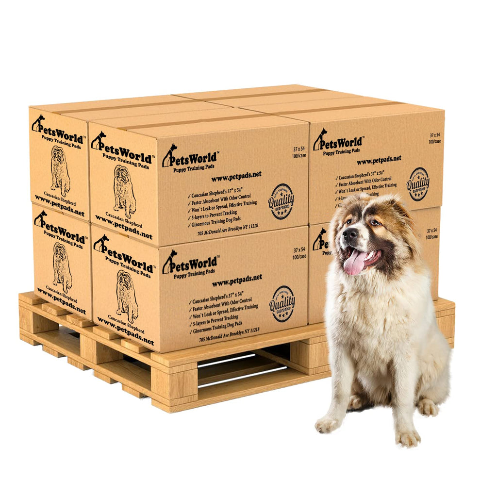 PetsWorld Pee Pads for Dogs 37x54 XXXL | Dog Training Pads 400 Count