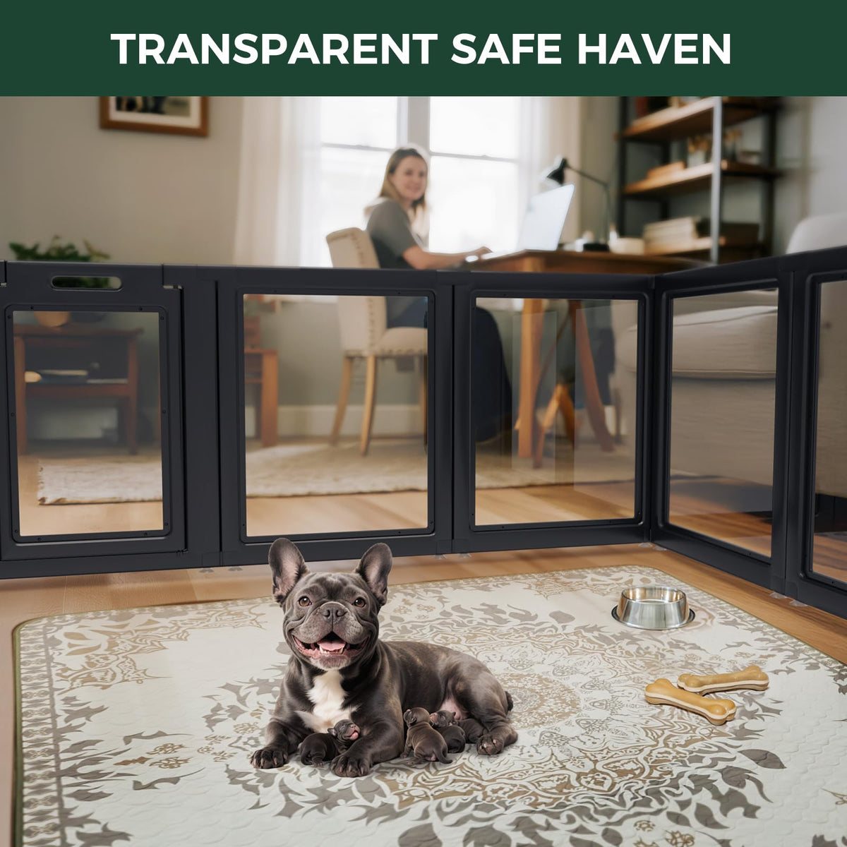 FXW AuraSpace Acrylic Dog Playpen with Whelping Door, 30"H