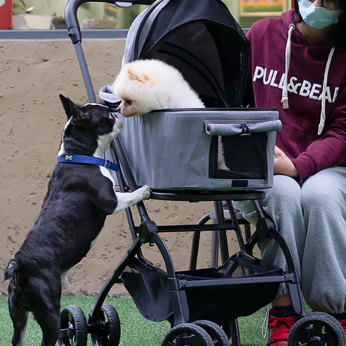 3 in 1 One-Click Foldable Pet Stroller, Detachable Dog Cat Travel Pushchair, 4 Wheels Dog/Cat Puppy Stroller, Travel Carrier for Small/Medium Pet with Storage Basket,Black
