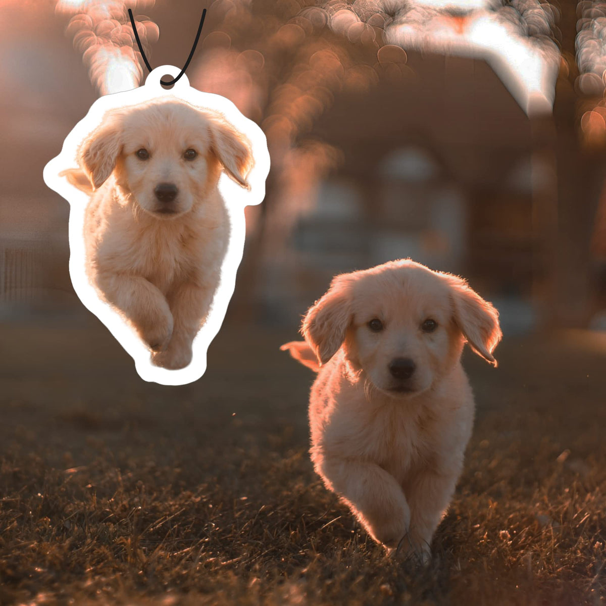 300PCS Personalized Pet Portrait Car Air Fresheners Bulk Dog Photo Air Fresheners Cat Car Decor Accessories Pet souvenir gift Scents Air Freshener Custom Bulk Items for Pet Lover (option 6:300pcs)