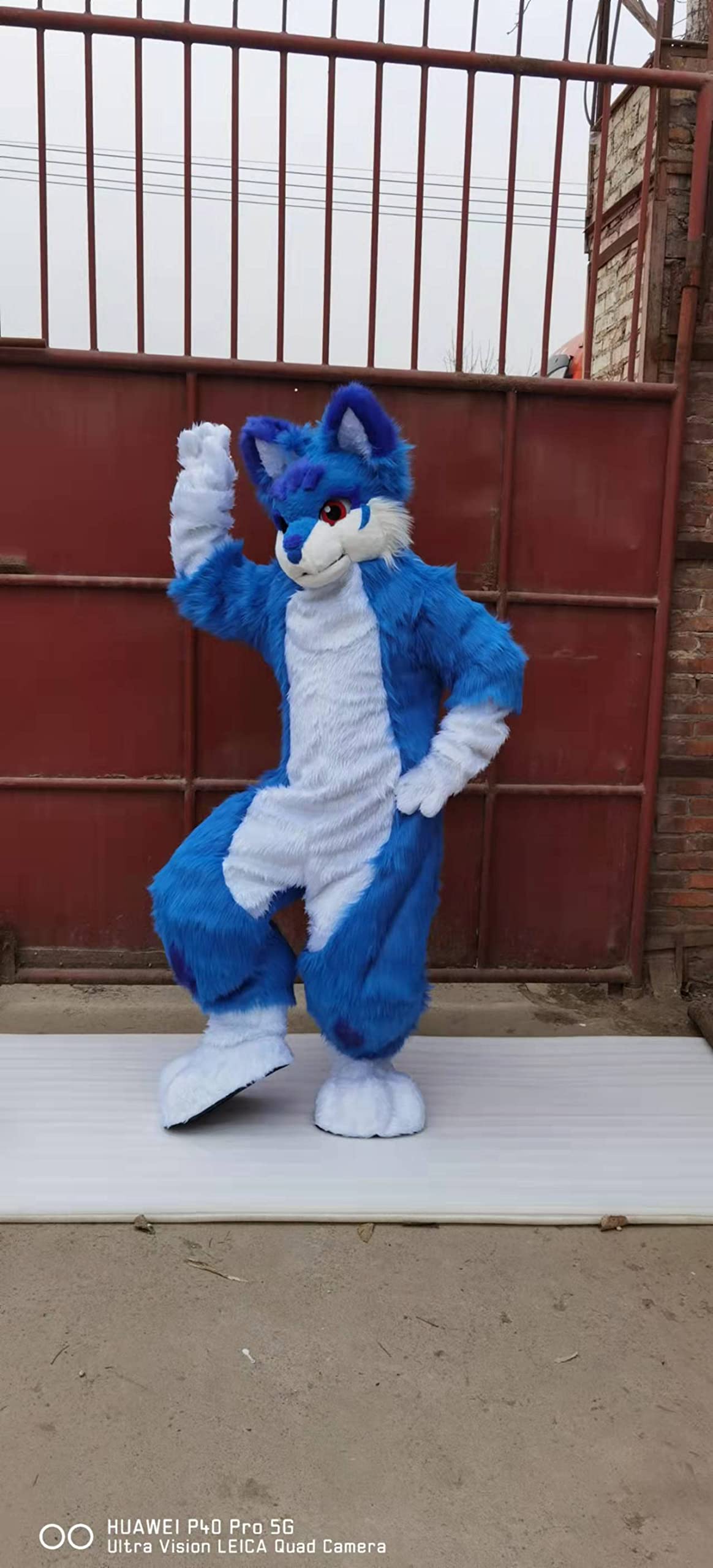 Original Design Blue Cat Huksy Dog Fursuit Costumes Full Furry Suit Furries Anime Digitigrade Costume Bent Legs Angel Dragon