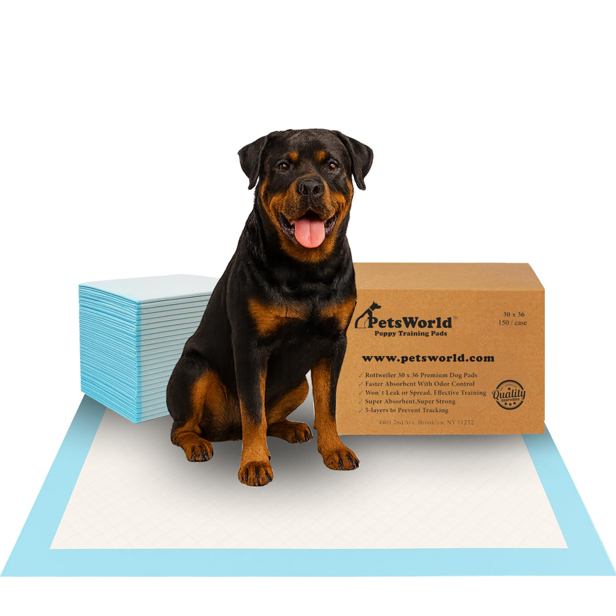 PetsWorld Pee Pads for Dogs 30x36 XL | Dog Training Pads 1500 Count