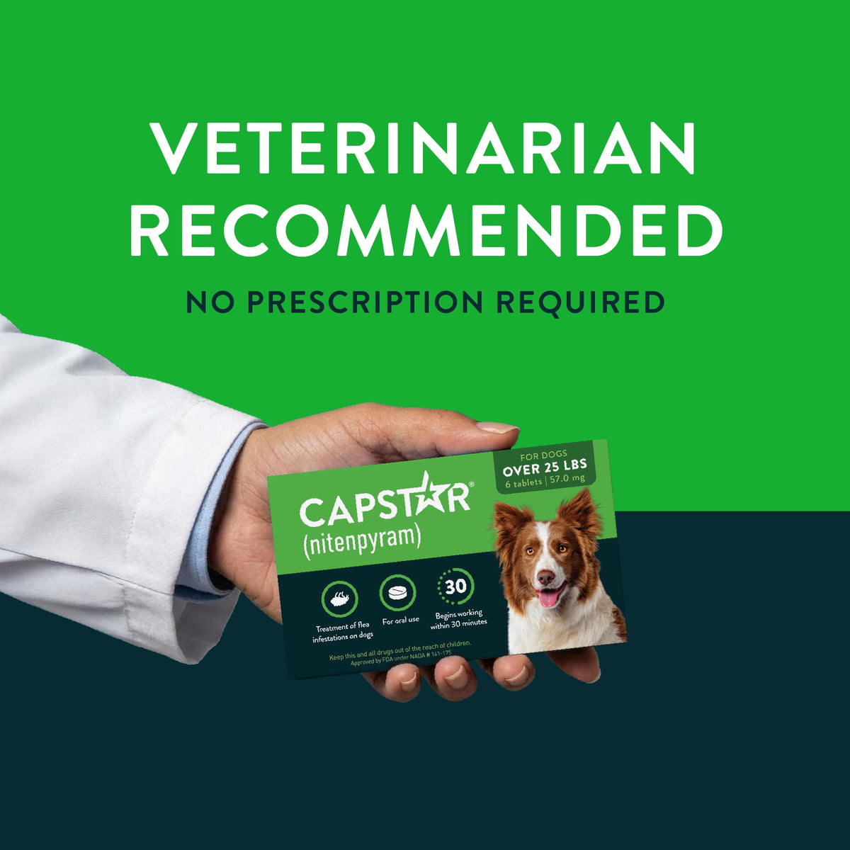Capstar (nitenpyram) Fast-Acting Oral Flea Treatment for Dogs Over 25 lbs