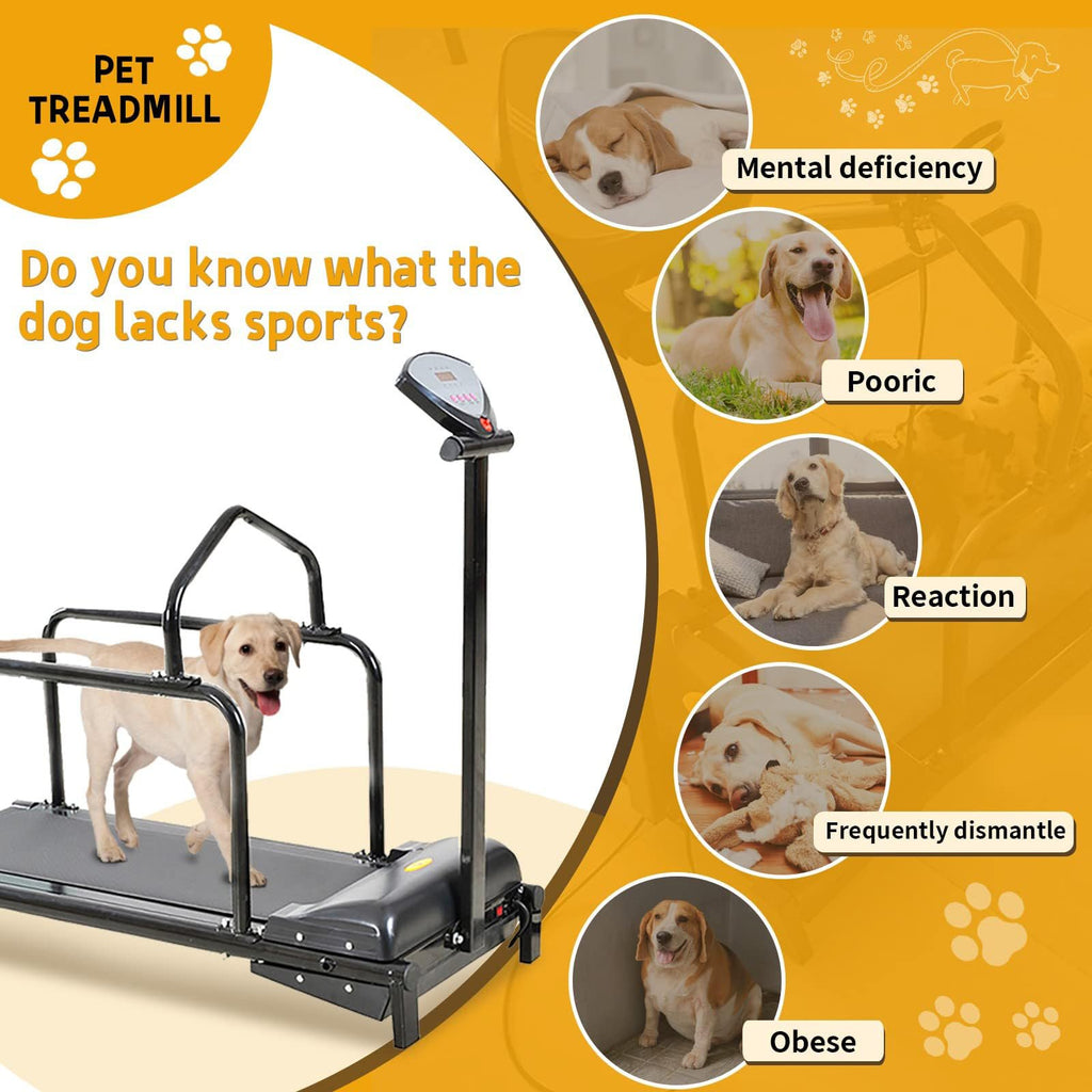 Dog Treall for Lar and Mum Dogs, Indoor and Outdoor Exercise Equint, Slatmill for Training Dogs Up to 176lb, Promotes Healthy Activi and Weight Manaent