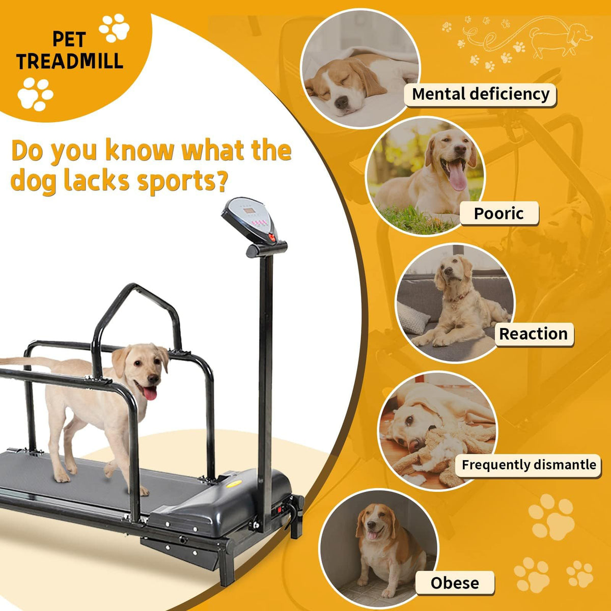 Dog Treall for Lar and Mum Dogs, Indoor and Outdoor Exercise Equint, Slatmill for Training Dogs Up to 176lb, Promotes Healthy Activi and Weight Manaent