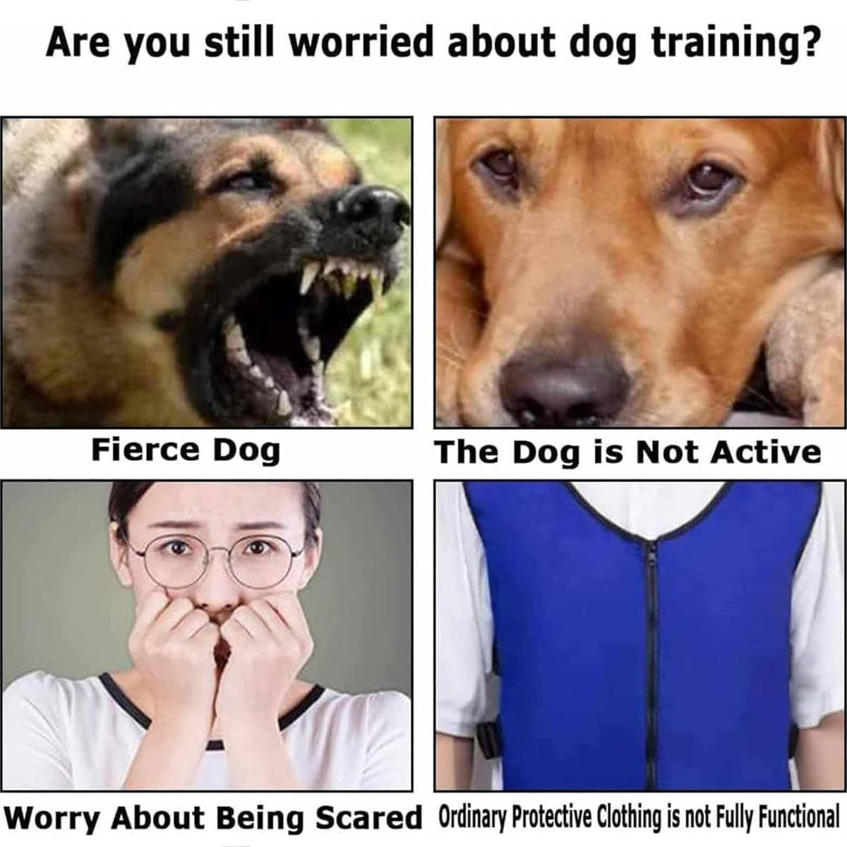 Dog Training Protective Clothing, Small Medium-Sized Dog Outdoor Anti-bite Body Protective Clothing (Beige)