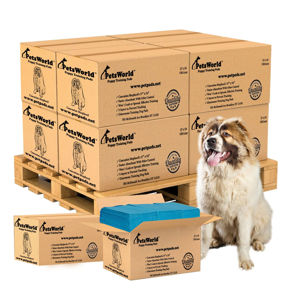 PetsWorld Pee Pads for Dogs 37x54 XXXL | Dog Training Pads 400 Count