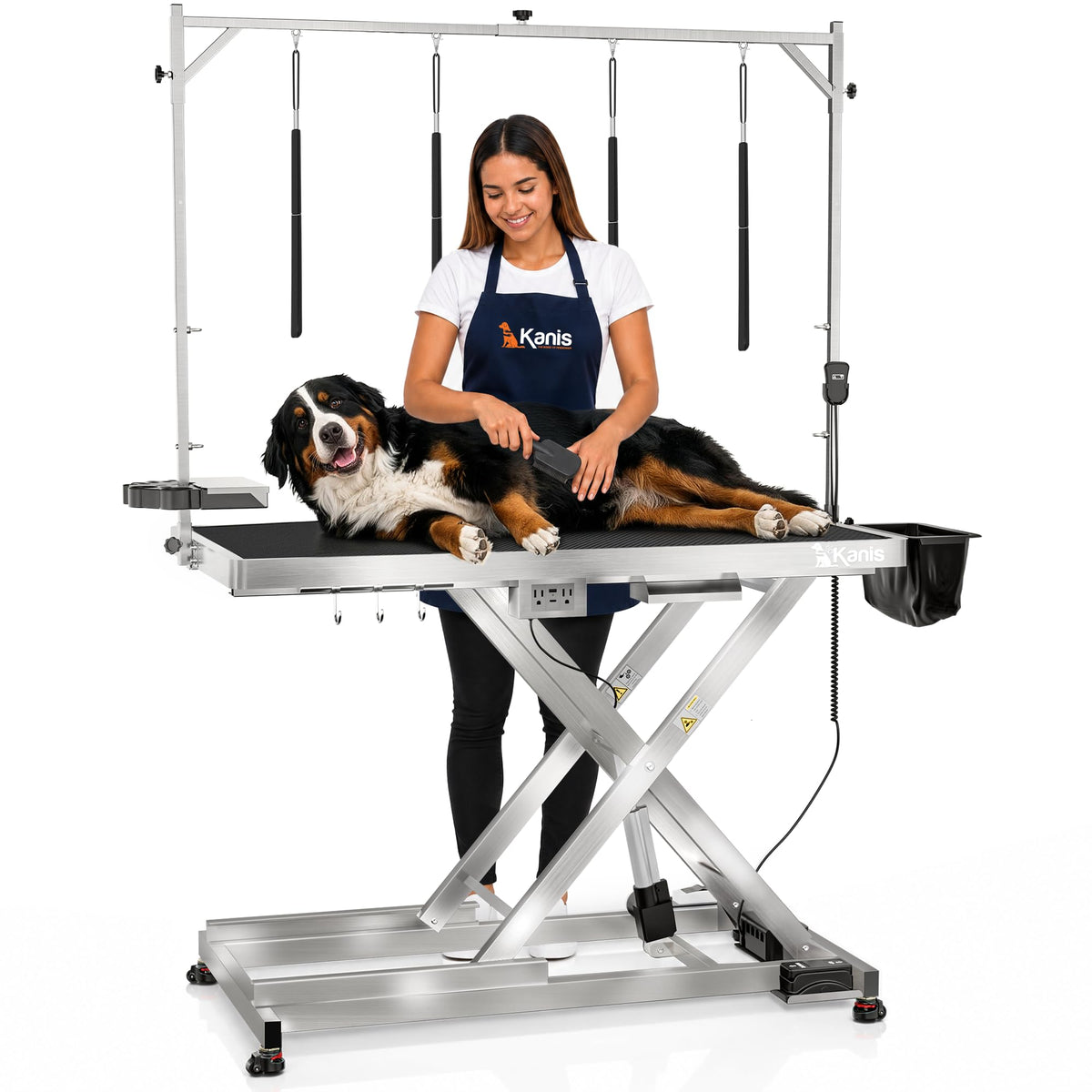 Professional Electric Dog Grooming Table - Heavy Duty