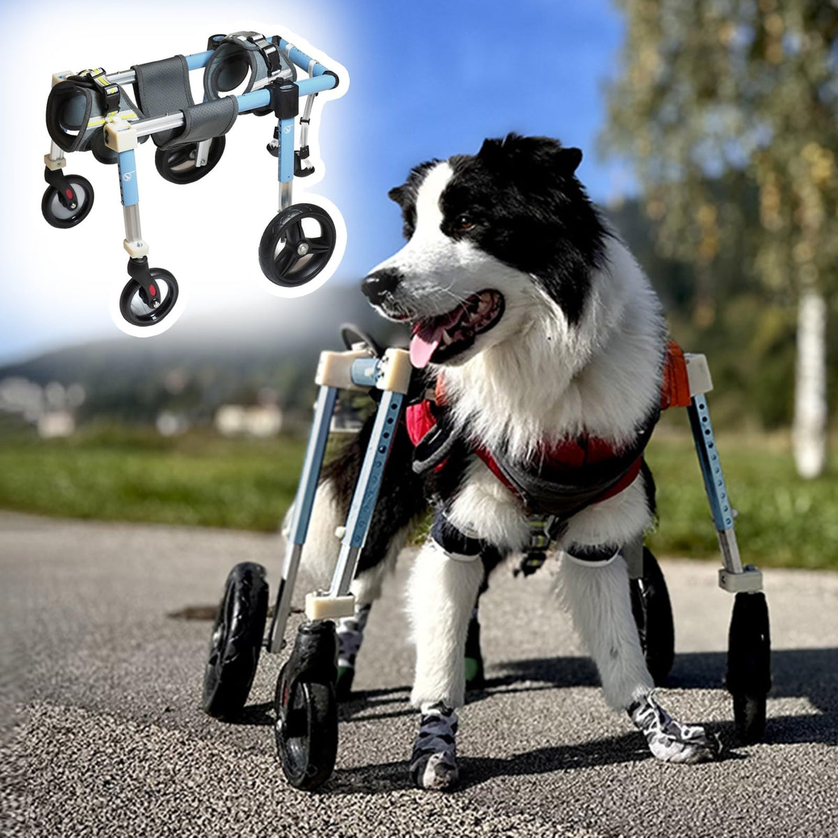 4 Wheels Dog Wheel Chair Pet Mobility Aid, XS/S/M/L/XL/XXL Full Support Assist, Doggie Wheelchair Leg Braces for Disabled Handicapped Injured Lame