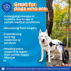Walkin' Wheels Dog Wheelchair - for Med/Large Dogs 50-69 lbs - Veterinarian Approved - Dog Wheelchair for Back Legs