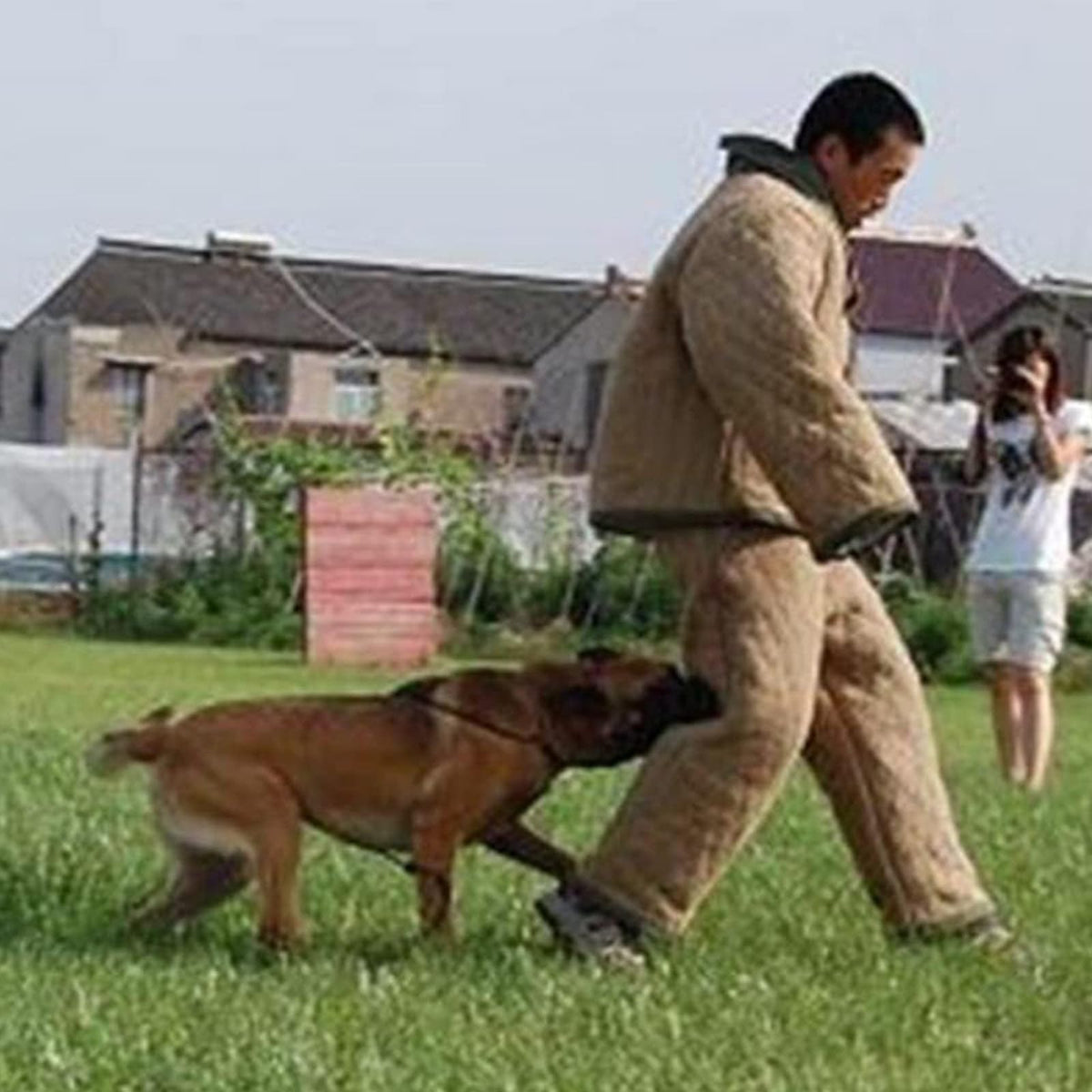 Dog Training Protective Clothing, Small Medium-Sized Dog Outdoor Anti-bite Body Protective Clothing (Beige)