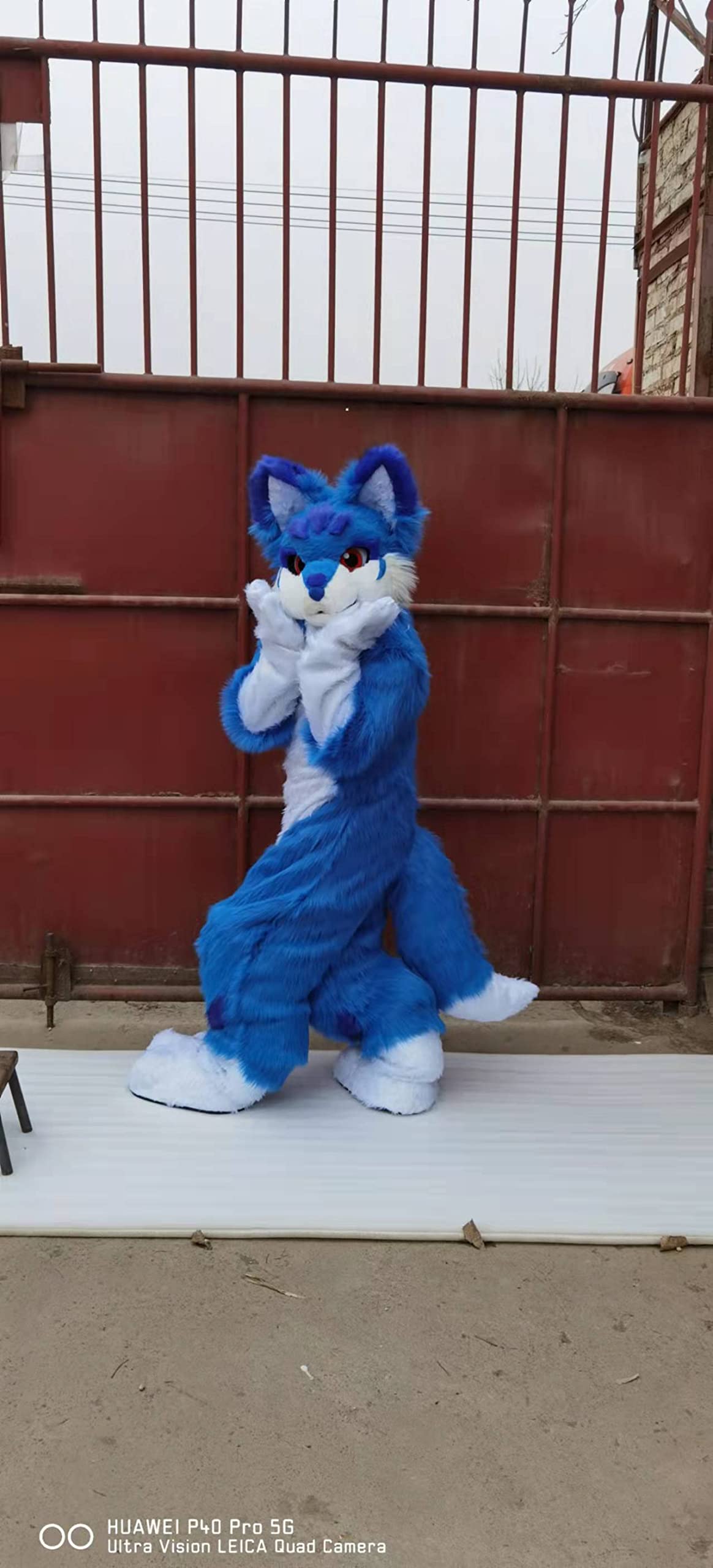 Original Design Blue Cat Huksy Dog Fursuit Costumes Full Furry Suit Furries Anime Digitigrade Costume Bent Legs Angel Dragon