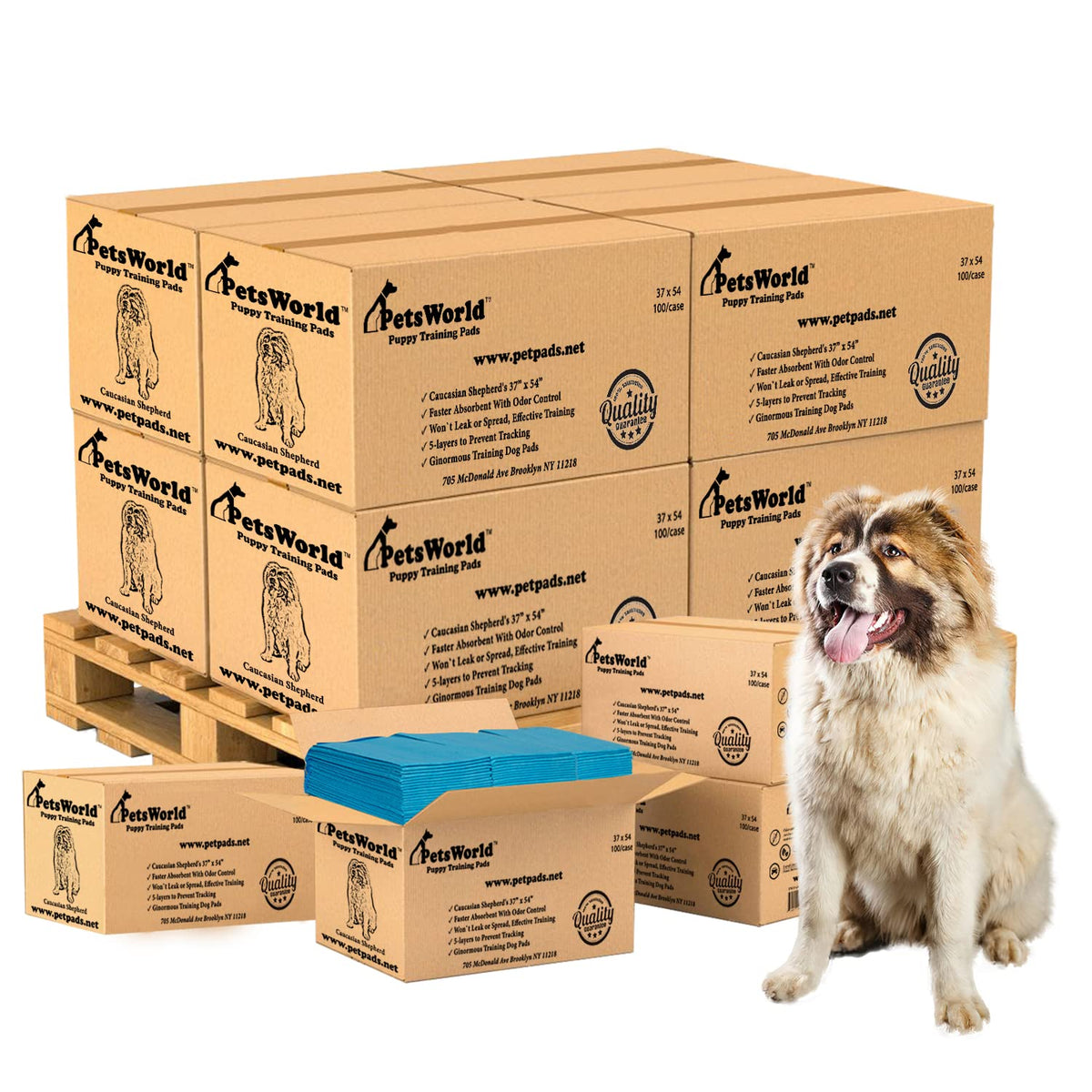 PetsWorld Pee Pads for Dogs 37x54 XXXL | Dog Training Pads 400 Count