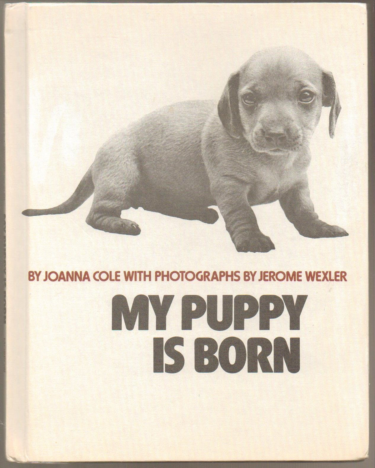 My Puppy Is Born