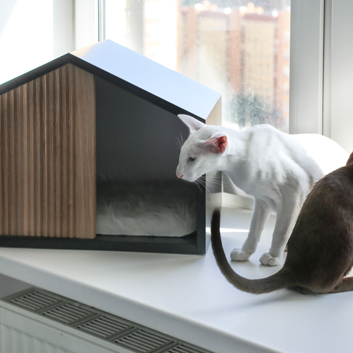 Effect Indoor Pet House for dogs and cats by Pettel