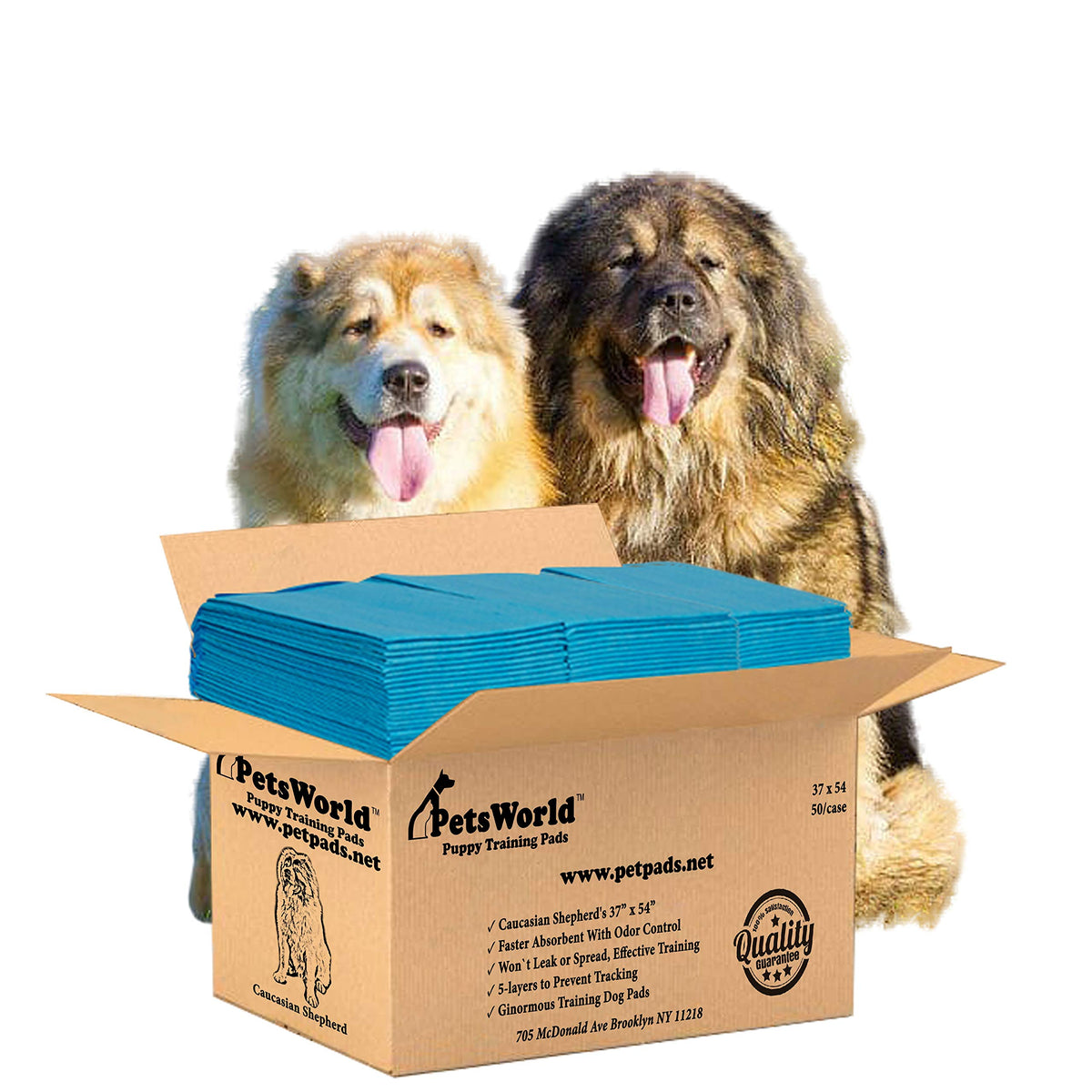 PetsWorld Pee Pads for Dogs 37x54 XXXL | Dog Training Pads 400 Count