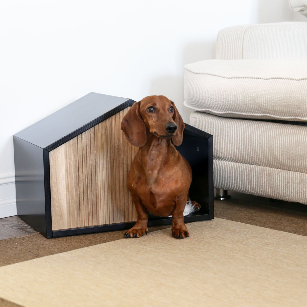 Effect Indoor Pet House for dogs and cats by Pettel