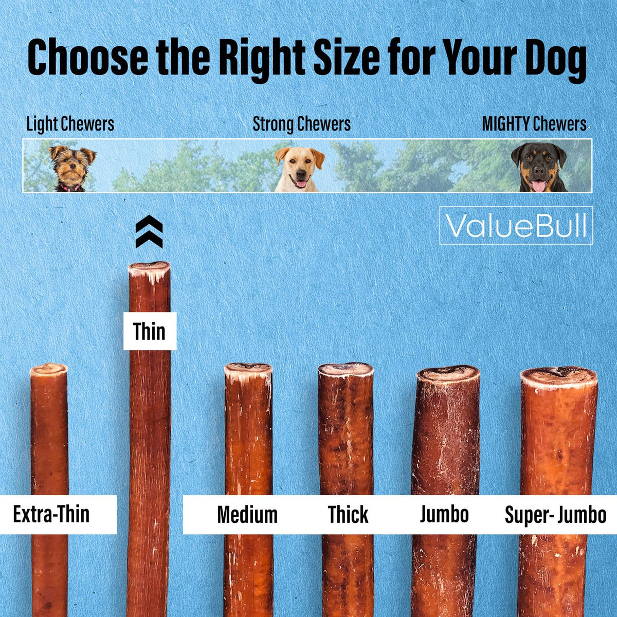 ValueBull Bully Sticks for Small Dogs, Thin 12 Inch, 200 Count