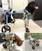 4 Wheels Dog Wheel Chair Pet Mobility Aid, XS/S/M/L/XL/XXL Full Support Assist, Doggie Wheelchair Leg Braces for Disabled Handicapped Injured Lame