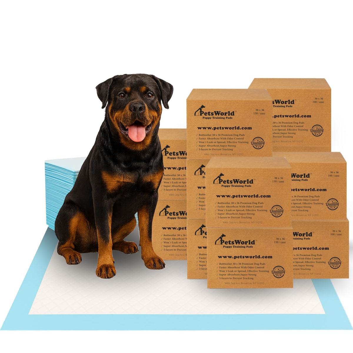 PetsWorld Pee Pads for Dogs 30x36 XL | Dog Training Pads 1500 Count
